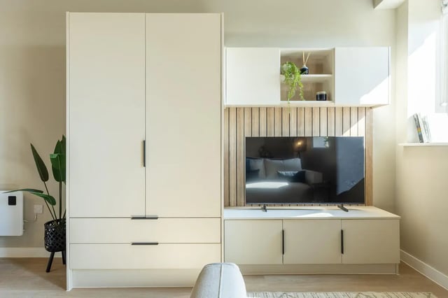 Wardrobe TV unit with shelving and plant Living room at Fitz and Knox in Cardiff Student Accommodation