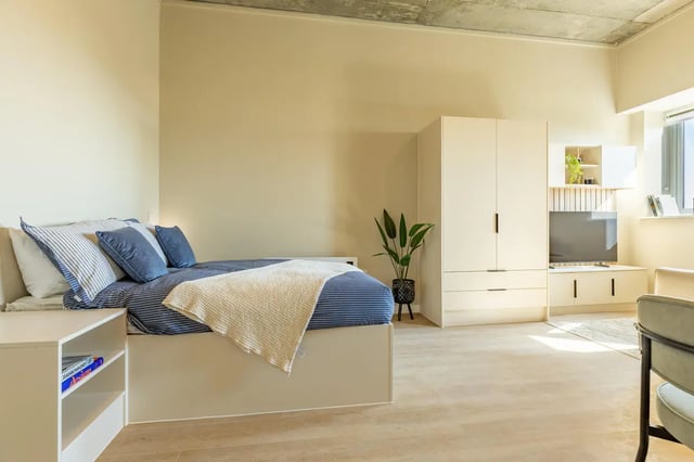 Bed wardrobe TV unit and plant bedroom at Fitz and Knox in Cardiff Student Accommodation