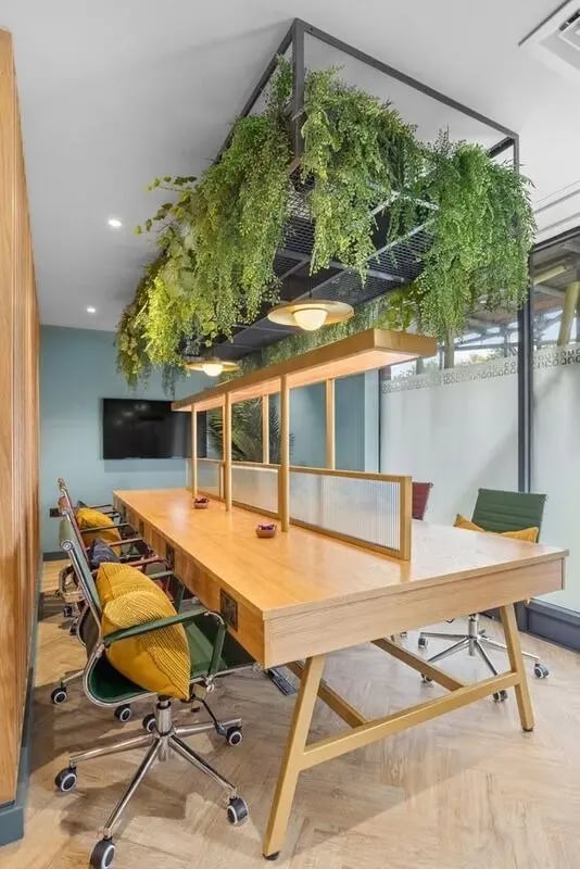 Long wooden table with chairs plants study area at London Road Apartments in Southampton Student Accommodation