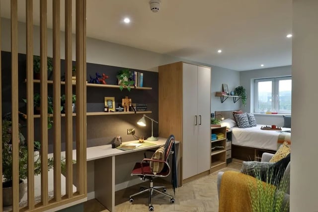 Desk wardrobe bed plants bedroom living room at London Road Apartments in Southampton Student Accommodation