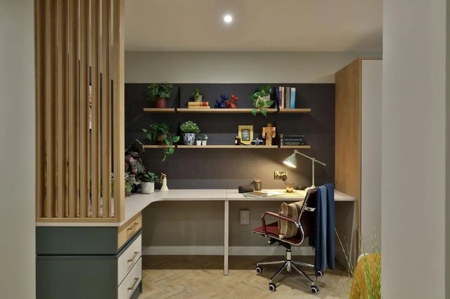 Desk chair plants shelves and books study area at London Road Apartments in Southampton Student Accommodation