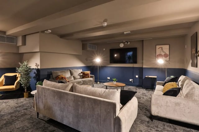 Sofa chairs television plant and coffee table living room at Francis Gardner in London Student Accommodation