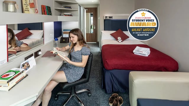 Woman studying at desk beside bed bedroom at Study Inn Walnut Gardens Exeter in Exeter Student Accommodation