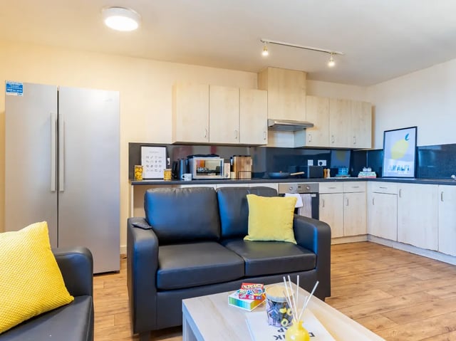 Sofa refrigerator kitchen cabinets appliances artwork living kitchen at Europa in Liverpool Student Accommodation