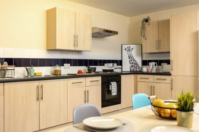 Cabinets sink stove and giraffe art kitchen at Newport Student Village in Newport Student Accommodation