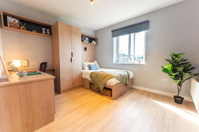 Bed desk wardrobe and plant bedroom interior at St Peters Court in Nottingham Student Accommodation