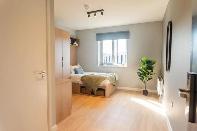 Bed wardrobe and plant in bedroom at St Peters Court in Nottingham Student Accommodation