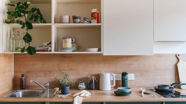 Sink kettle plant bottles and dishes kitchen at City Wharf in Glasgow Student Accommodation
