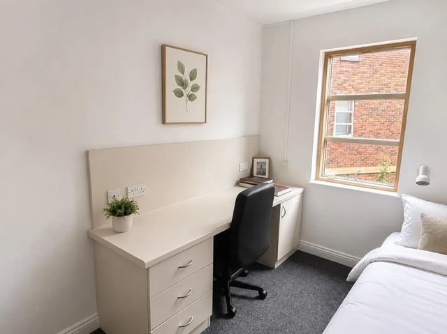Desk chair plant artwork and bed study area at Truro Works in Sheffield Student Accommodation