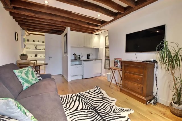 Sofa kitchenette dresser TV zebra rug living area at Studio in Rue de Bourgogne, 75007 Paris, France in Paris Student Accommodation