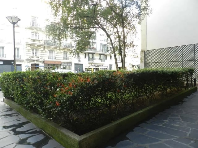 Hedge with red berries and trees exterior at Studio in Rue Lecourbe, 75015 Paris, France in Paris Student Accommodation