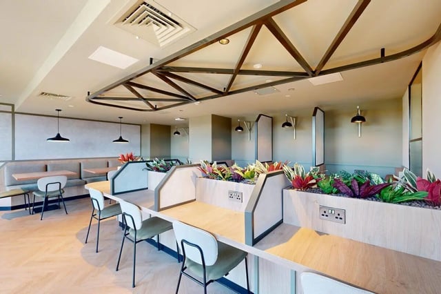 Study desks with plants and chairs study area at Bridgeside in Nottingham Student Accommodation