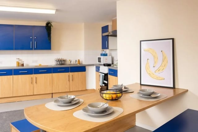 Modern kitchen with wooden cabinets blue accents kitchen. at Bournemouth University Village - Chesil House in Bournemouth Student Accommodation