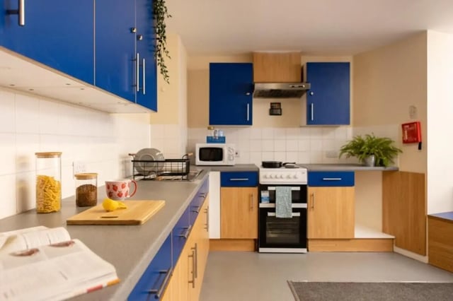 Blue cabinets oven plant cutting board kitchen at Bournemouth University Village - Chesil House in Bournemouth Student Accommodation