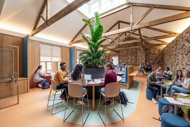 Students study at circular tables and benches with plants common area at Hamilton House in Brighton Student Accommodation