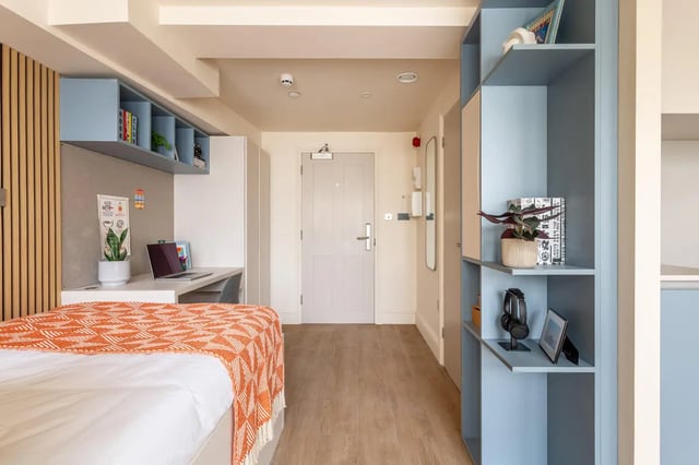 Bed desk plant shelves and door bedroom at Hamilton House in Brighton Student Accommodation