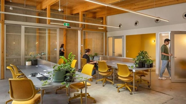 Yellow chairs large table plants study area at Assemble Swiftwalk in Melbourne Student Accommodation