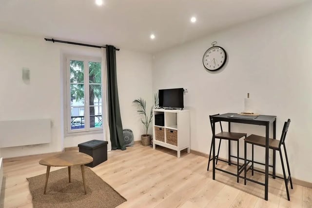 Table chairs TV plant storage living area at Studio in Av. Félix Faure, 75015 Paris, France in Paris Student Accommodation