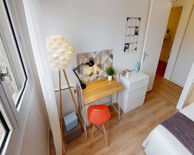 Desk lamp, plant, drawers, chair study area at Chambre dans le Place de la Montagne du Goulet in Paris Student Accommodation