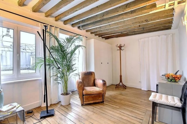 Leather armchair plant coat rack living room at Apartment 1 bedroom 60m² in Paris Student Accommodation