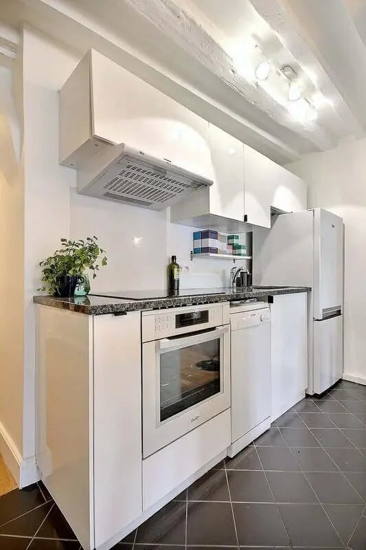 White cabinets oven dishwasher refrigerator and plant kitchen at Apartment 1 bedroom 60m² in Paris Student Accommodation