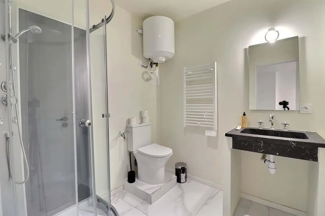Shower toilet sink and mirror bathroom at Apartment in Rue Sedaine, Paris for 37 m² with 1 bedroom in Paris Student Accommodation