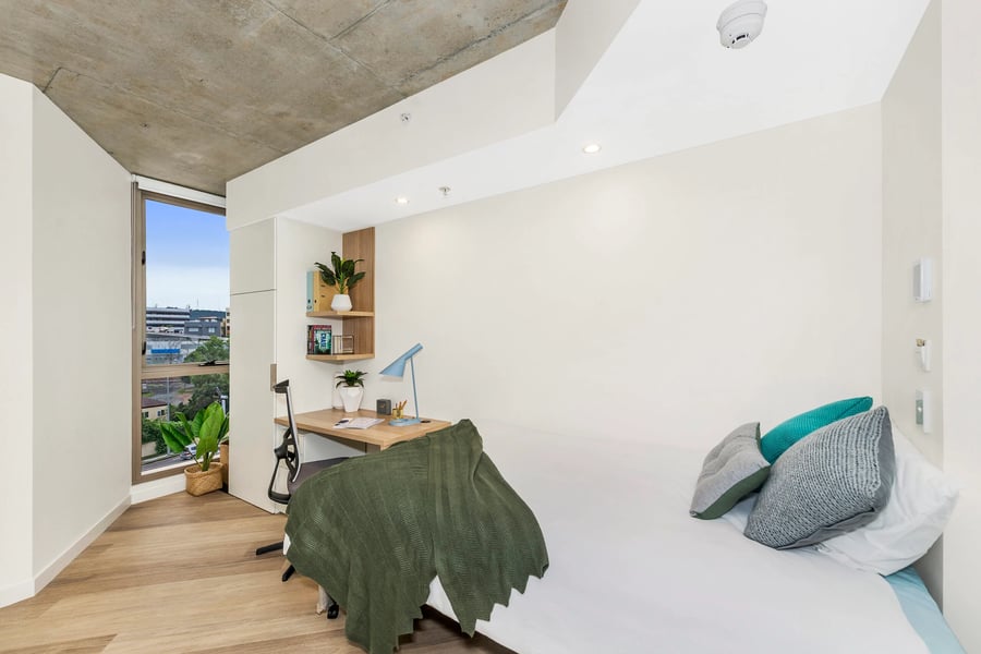 Bed desk chair plant and pillows bedroom at Scape St Lucia in Brisbane Student Accommodation