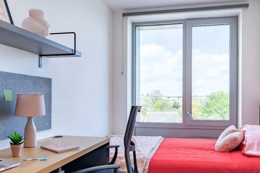 Desk lamp plant bed and window bedroom at Great Court in London Student Accommodation