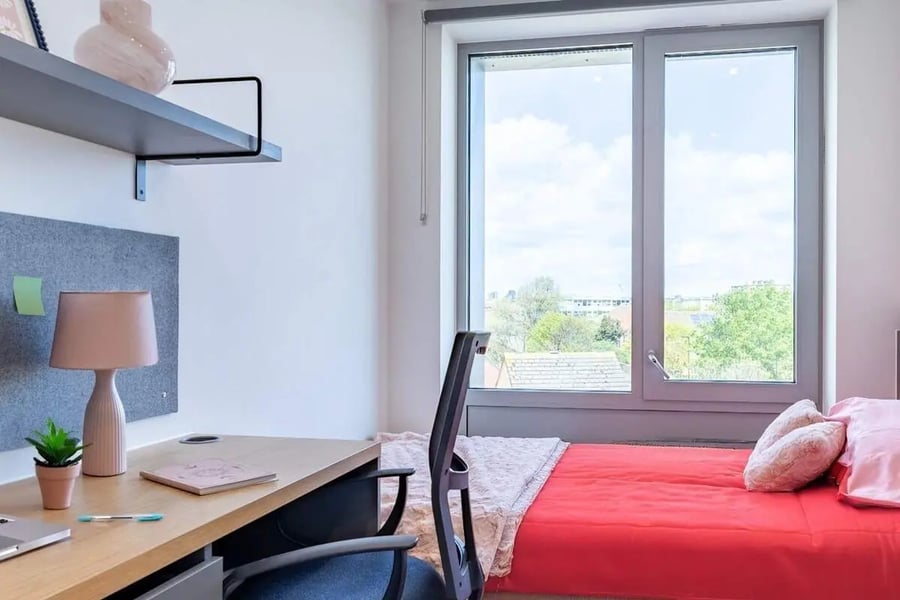 Desk lamp plant and bed bedroom interior at Great Court in London Student Accommodation