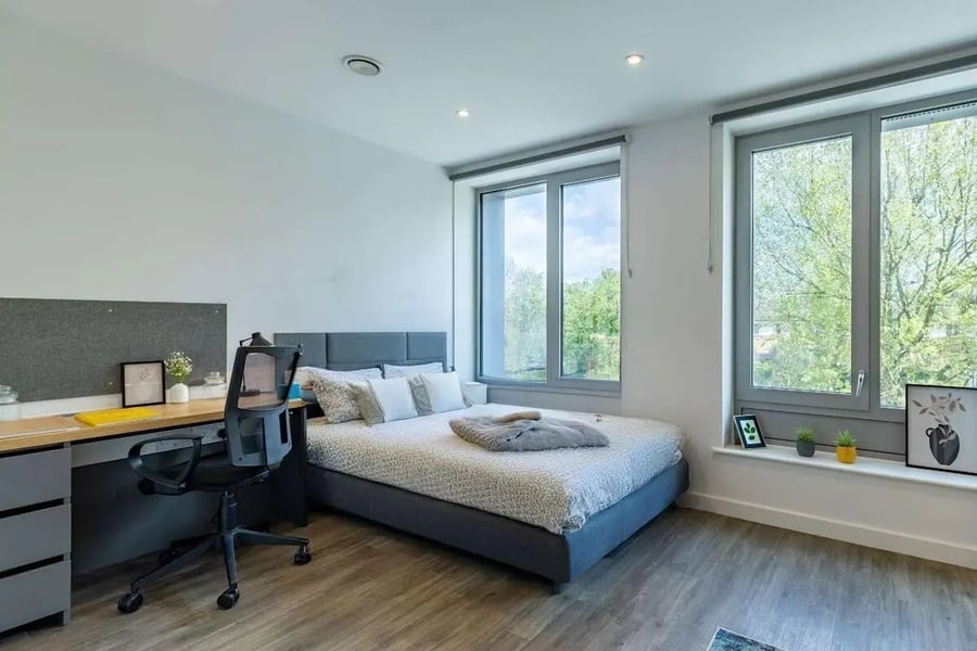 Bed desk chair and plants bedroom at Great Court in London Student Accommodation