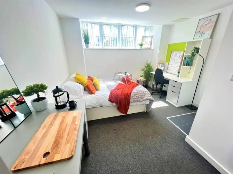 Bed desk plant and mirror bedroom at Tudor Studios in Leicester Student Accommodation