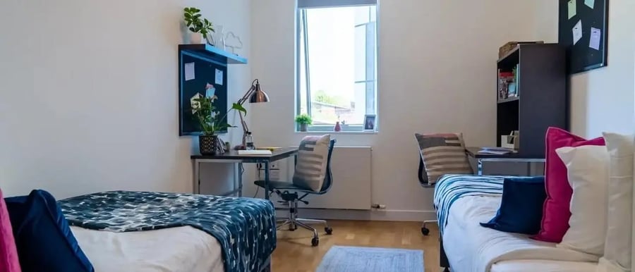 Two beds desks plants and chairs bedroom at Chapter Kings Cross in London Student Accommodation