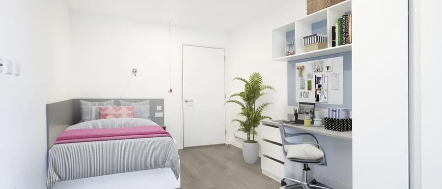 Bed desk plant and shelves bedroom at Chapter Lewisham in London Student Accommodation