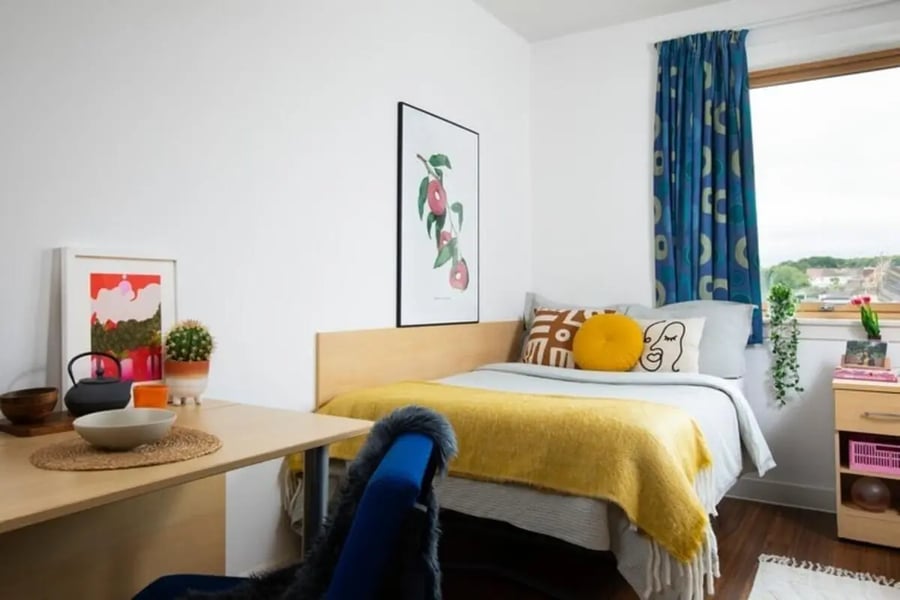 Bed desk plants artwork blue curtains bedroom at Pier Quays in Medway Student Accommodation