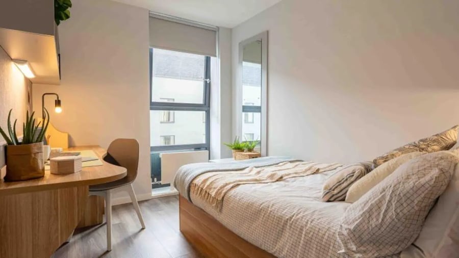 Bed desk plant and chair bedroom at iQ Sterling Court in London Student Accommodation