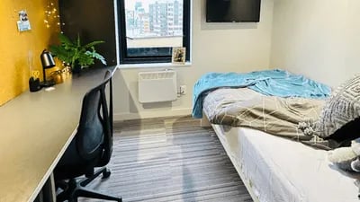 Desk chair plant lamp bed and heater bedroom at UniLodge Auckland City in Auckland Student Accommodation