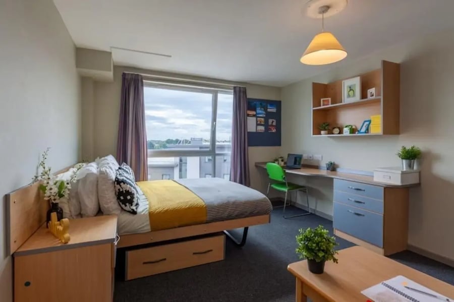 Bed desk chair shelves and window bedroom at Filbert Village in Leicester Student Accommodation