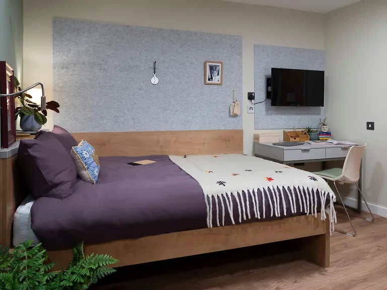 Bed desk plant and tv bedroom at The Curve in London Student Accommodation