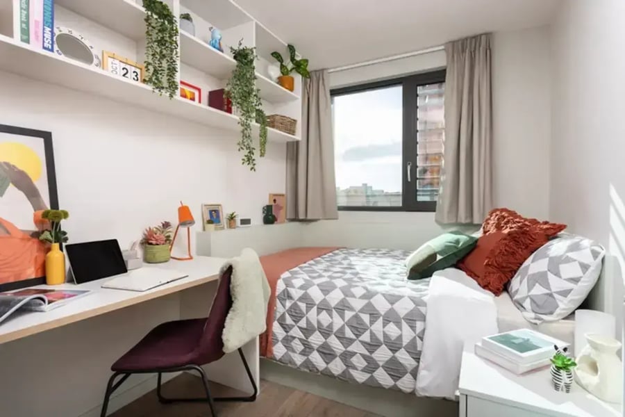 Desk bed shelves window plant bedroom at Avon Point in Bristol Student Accommodation