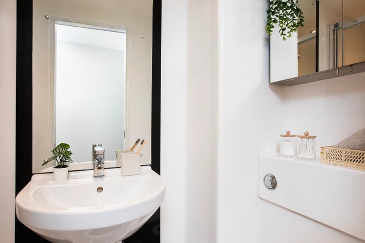 Sink mirror plant toothbrushes cotton swabs bathroom at Stapleton House in London Student Accommodation