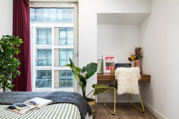 Desk chair plants bed and window study area at Student Living Heights in London Student Accommodation