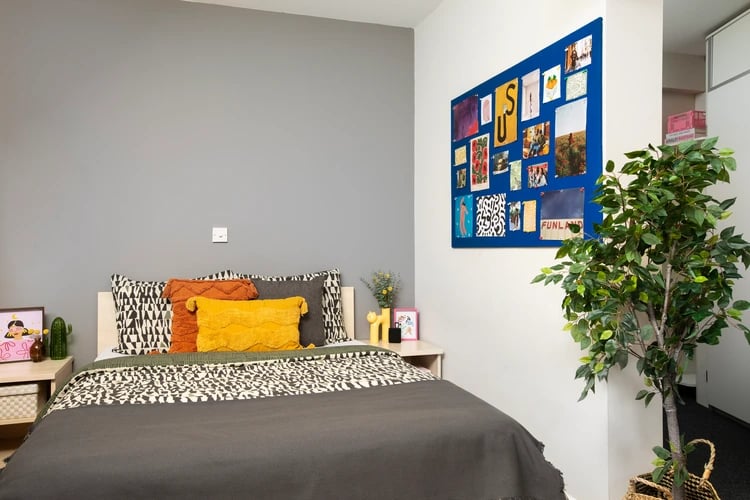 Bed with colorful pillows and wall art bedroom at Pacific Court in London Student Accommodation