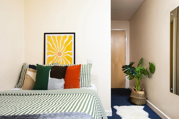 Bed with colorful pillows framed art plant bedroom at Castle Court in Leicester Student Accommodation