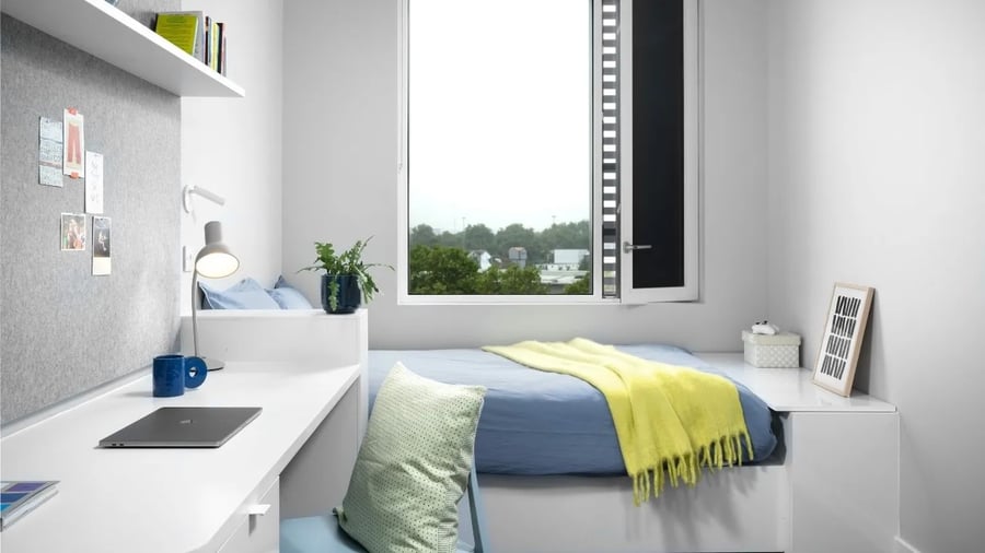 Bed desk lamp plant and window bedroom at Scape Canada Water in London Student Accommodation