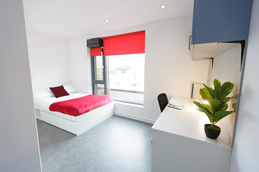 Bed desk and plant bedroom study area at AXO New Cross in London Student Accommodation