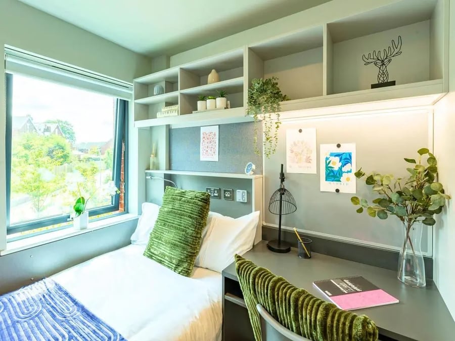 Bed desk plants and shelving student bedroom at Clifford House in Exeter Student Accommodation