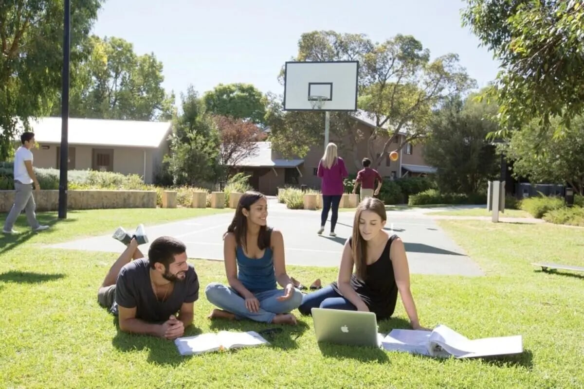 Students studying on grass basketball court exterior at ECU Villlage Mount Lawley in Perth Student Accommodation