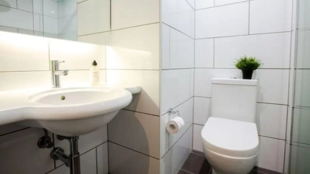 Sink toilet and plant bathroom at UniLodge Carlton in Melbourne Student Accommodation