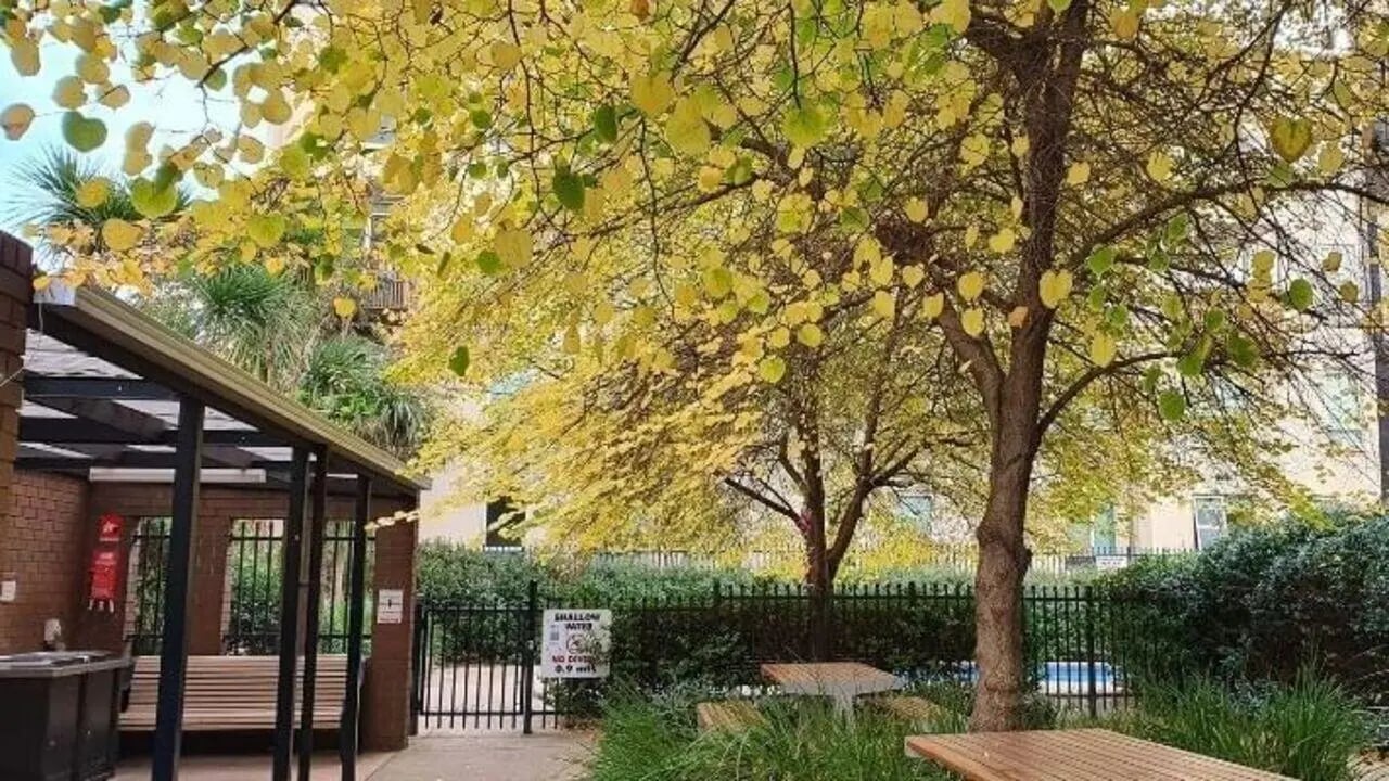 Picnic tables under tree with yellow leaves exterior at Student Living - 570 Lygon in Melbourne Student Accommodation