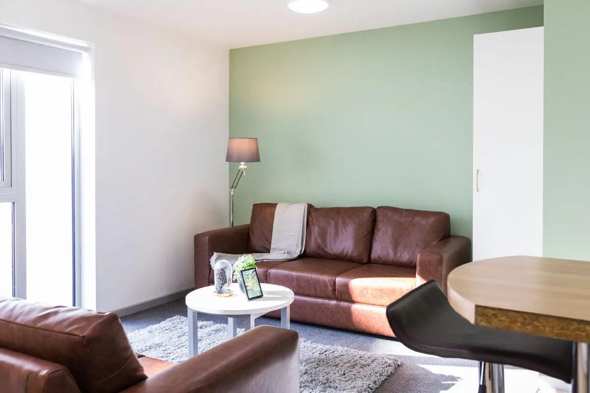 Brown couches small table lamp and white cabinet living room at Rosedale Court in Newcastle Upon Tyne Student Accommodation